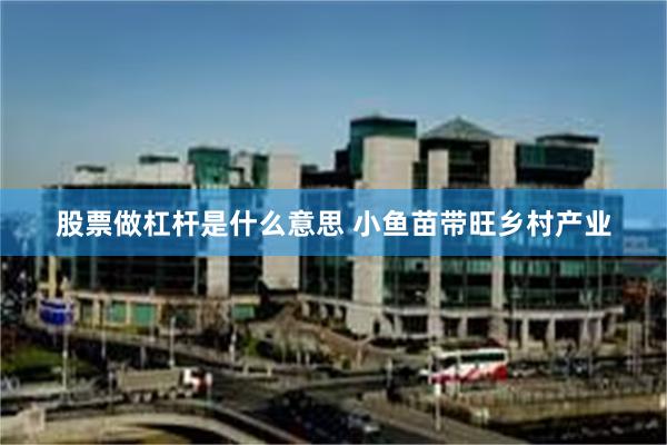 股票做杠杆是什么意思 小鱼苗带旺乡村产业