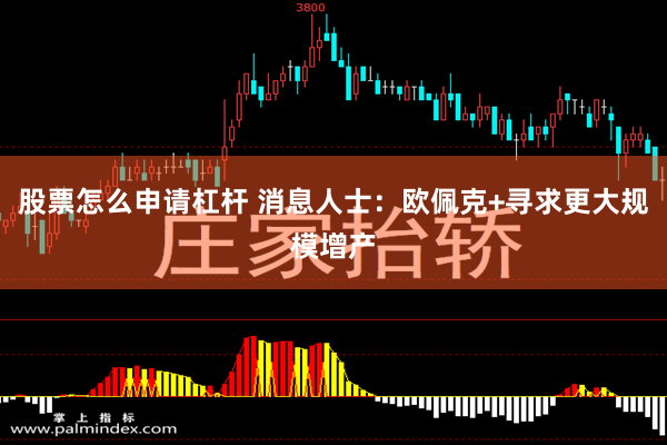 股票怎么申请杠杆 消息人士：欧佩克+寻求更大规模增产