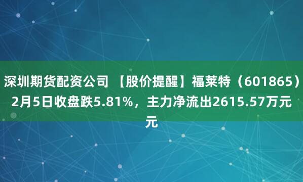 深圳期货配资公司 【股价提醒】福莱特（601865）2月5日收盘跌5.81%，主力净流出2615.57万元
