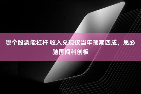 哪个股票能杠杆 收入兑现仅当年预期四成，思必驰再闯科创板