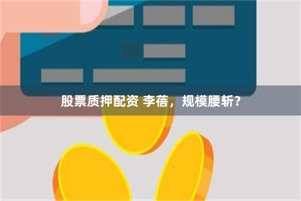 股票质押配资 李蓓，规模腰斩？