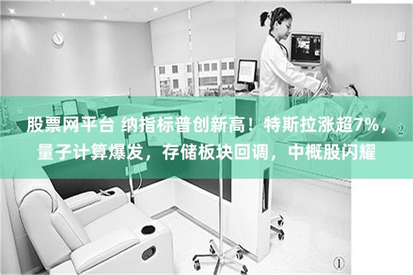 股票网平台 纳指标普创新高！特斯拉涨超7%，量子计算爆发，存储板块回调，中概股闪耀