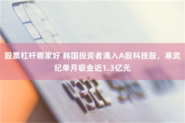 股票杠杆哪家好 韩国投资者涌入A股科技股，寒武纪单月吸金近1.3亿元