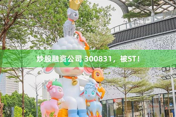 炒股融资公司 300831，被ST！