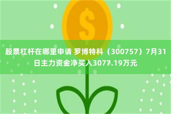 股票杠杆在哪里申请 罗博特科（300757）7月31日主力资金净买入3077.19万元