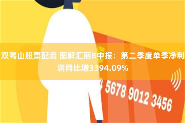 双鸭山股票配资 图解汇丽B中报：第二季度单季净利润同比增3394.09%