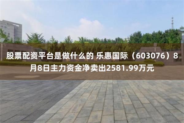 股票配资平台是做什么的 乐惠国际（603076）8月8日主力资金净卖出2581.99万元