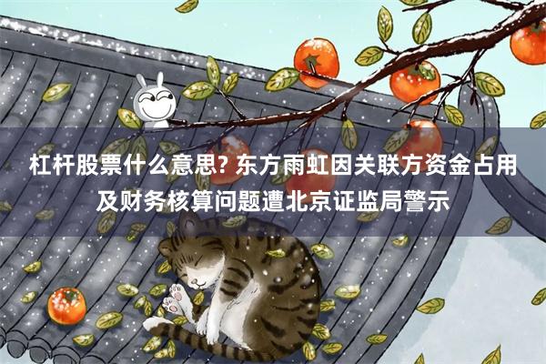 杠杆股票什么意思? 东方雨虹因关联方资金占用及财务核算问题遭北京证监局警示
