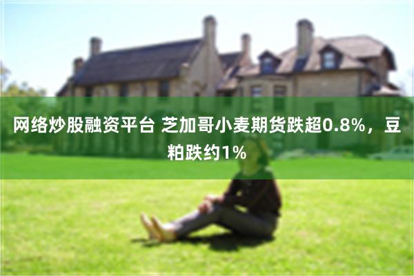 网络炒股融资平台 芝加哥小麦期货跌超0.8%,豆粕跌约1%