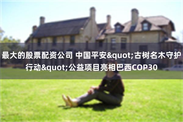 最大的股票配资公司 中国平安"古树名木守护行动"公益项目亮相巴西COP30