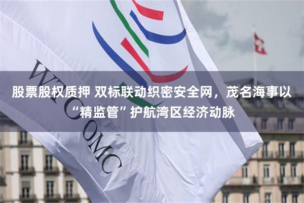 股票股权质押 双标联动织密安全网，茂名海事以“精监管”护航湾区经济动脉
