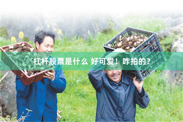 杠杆股票是什么 好可爱!咋拍的?