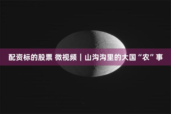 配资标的股票 微视频｜山沟沟里的大国“农”事