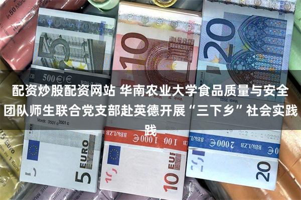 配资炒股配资网站 华南农业大学食品质量与安全团队师生联合党支部赴英德开展“三下乡”社会实践