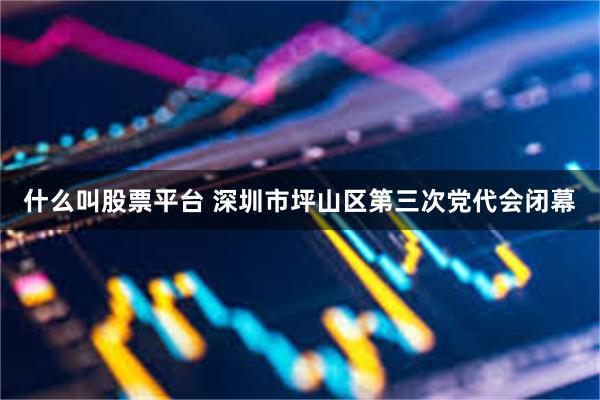 什么叫股票平台 深圳市坪山区第三次党代会闭幕