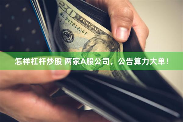 怎样杠杆炒股 两家A股公司，公告算力大单！