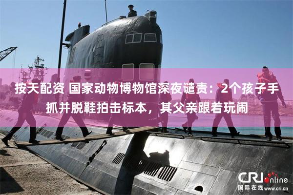 按天配资 国家动物博物馆深夜谴责：2个孩子手抓并脱鞋拍击标本，其父亲跟着玩闹