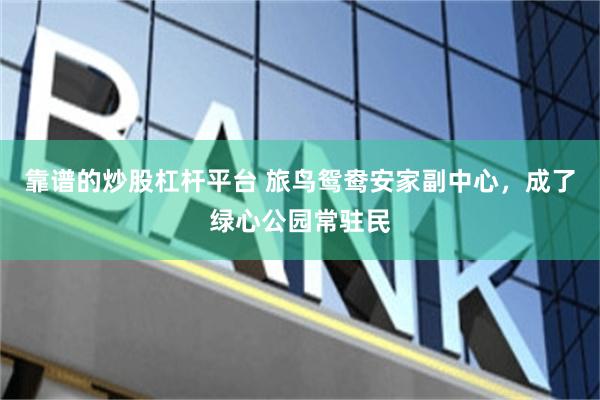 靠谱的炒股杠杆平台 旅鸟鸳鸯安家副中心，成了绿心公园常驻民