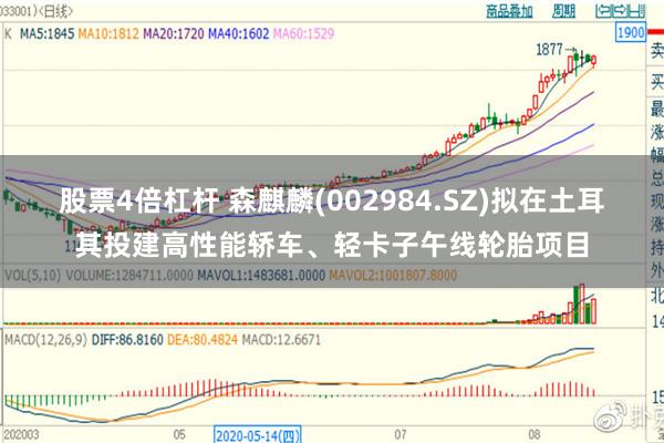 股票4倍杠杆 森麒麟(002984.SZ)拟在土耳其投建高性能轿车、轻卡子午线轮胎项目